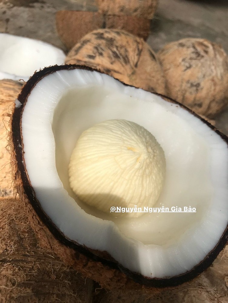 Mùa hè miền Tây trong ký ức: Trái chôm chôm đỏ và một khu vườn trĩu nỗi nhớ thương Mùa hè miền Tây trong ký ức: Trái chôm chôm đỏ và một khu vườn trĩu nỗi nhớ thương