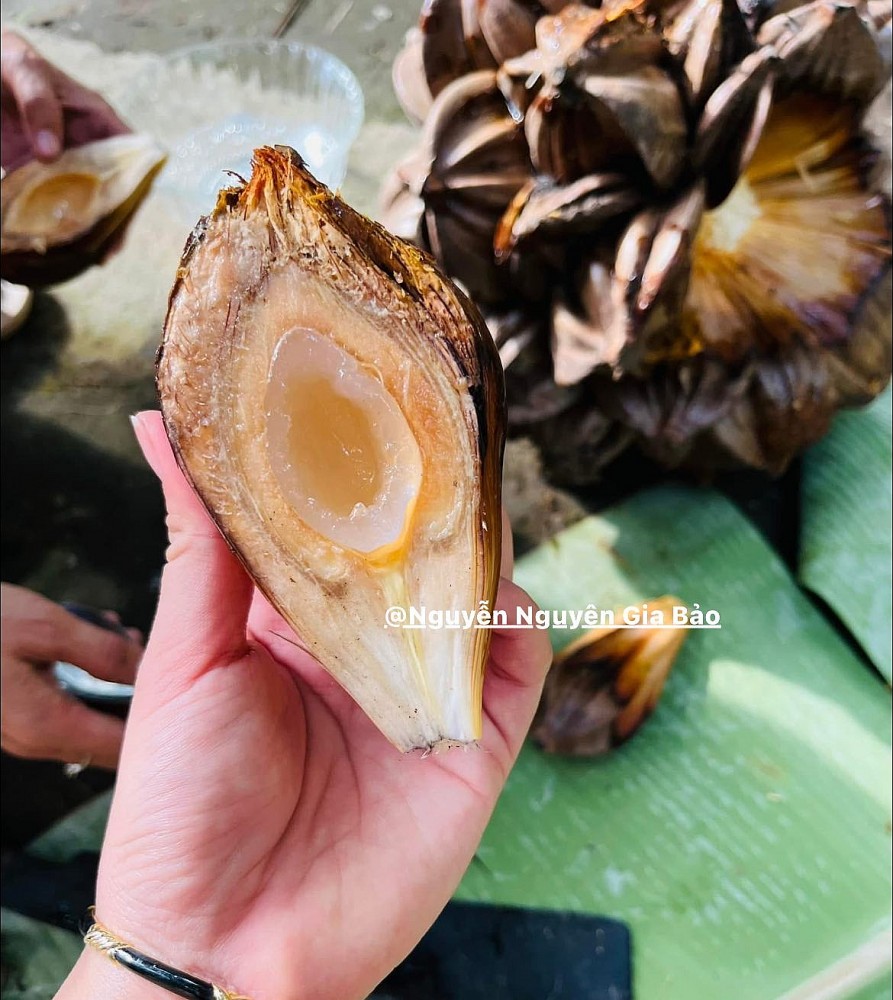 Mùa hè miền Tây trong ký ức: Trái chôm chôm đỏ và một khu vườn trĩu nỗi nhớ thương Mùa hè miền Tây trong ký ức: Trái chôm chôm đỏ và một khu vườn trĩu nỗi nhớ thương