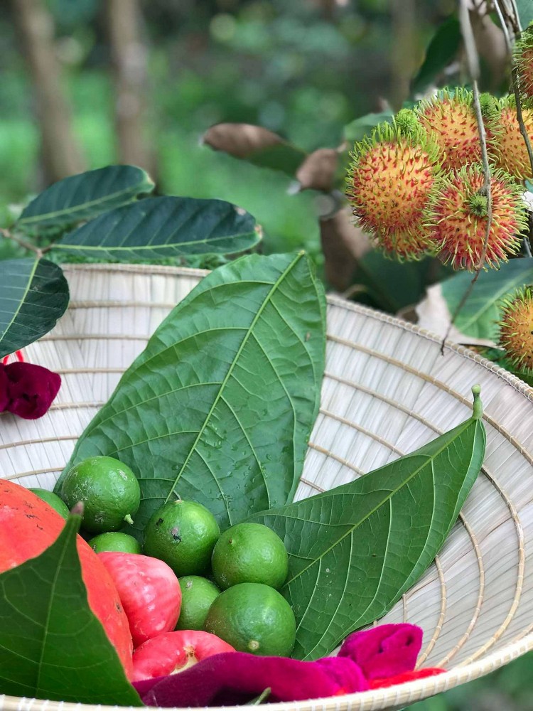 Mùa hè miền Tây trong ký ức: Trái chôm chôm đỏ và một khu vườn trĩu nỗi nhớ thương Mùa hè miền Tây trong ký ức: Trái chôm chôm đỏ và một khu vườn trĩu nỗi nhớ thương