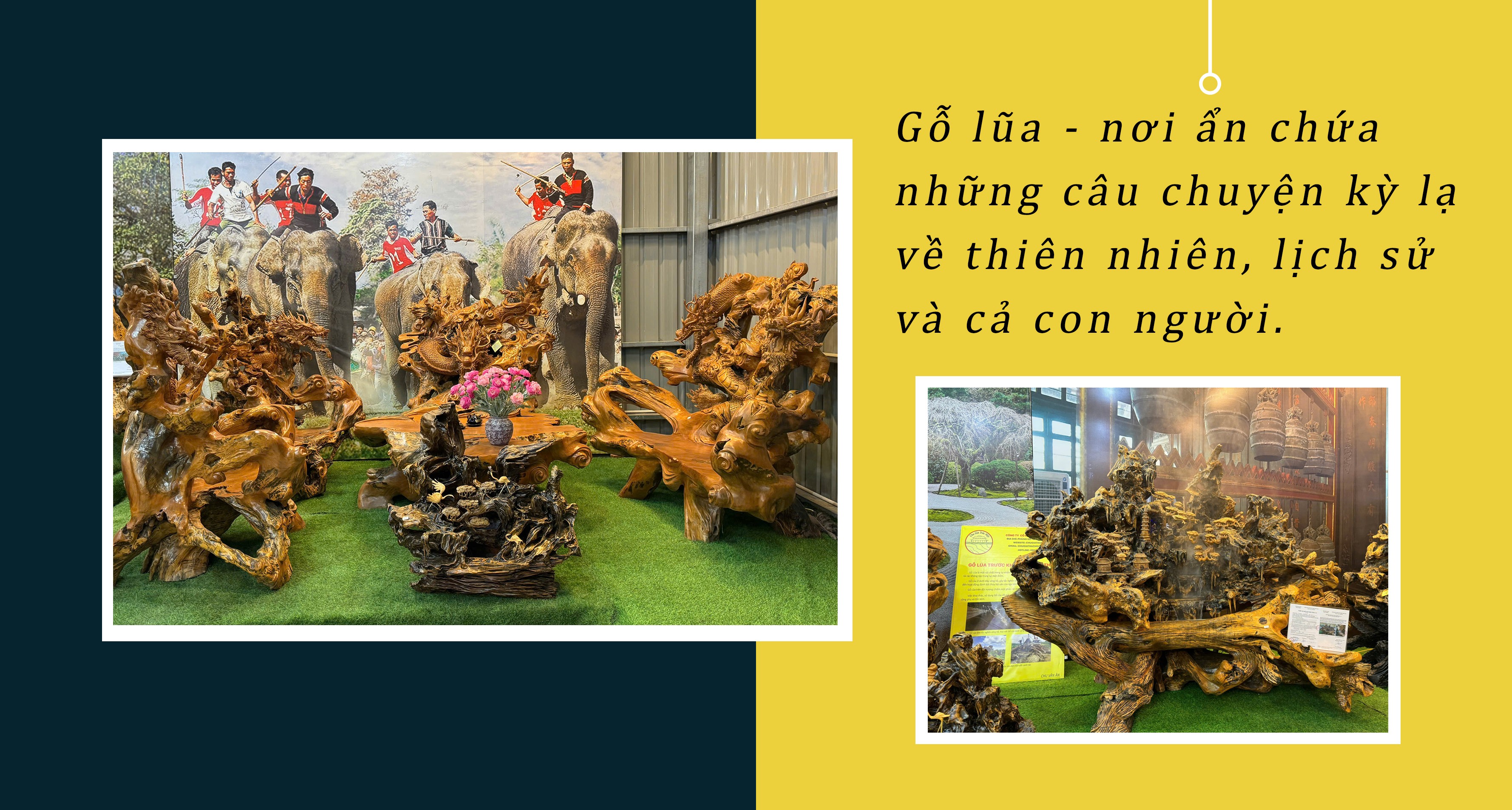 Gỗ lũa ngàn năm