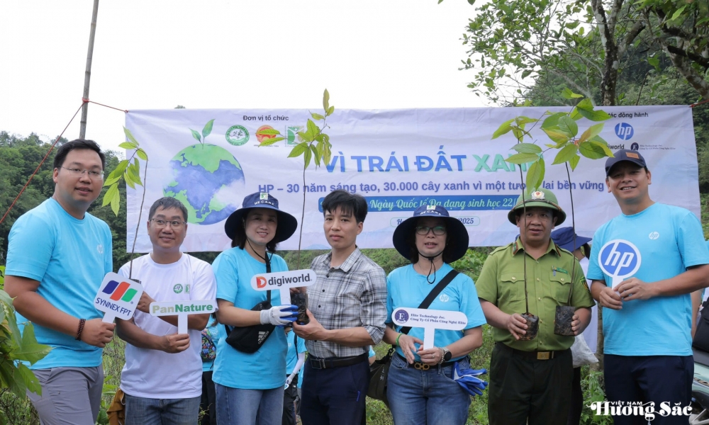 Doanh nghiệp công nghệ chung tay phủ xanh rừng Tây Bắc
