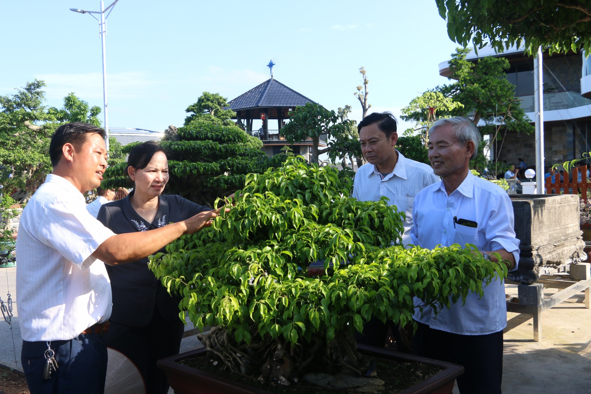 Đình Vị Khê đón sự kiện lớn: Chào mừng Lễ kỷ niệm 35 năm thành lập Hội Sinh vật cảnh tỉnh Nam Định