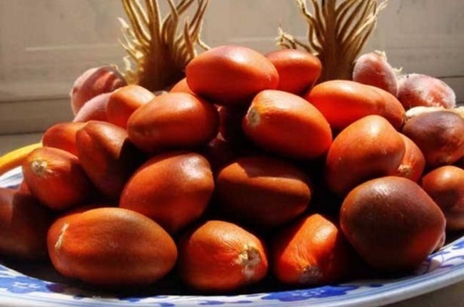 Loại quả hiếm 20 năm mới có một lần, nhiều người trả giá cao cũng không mua được