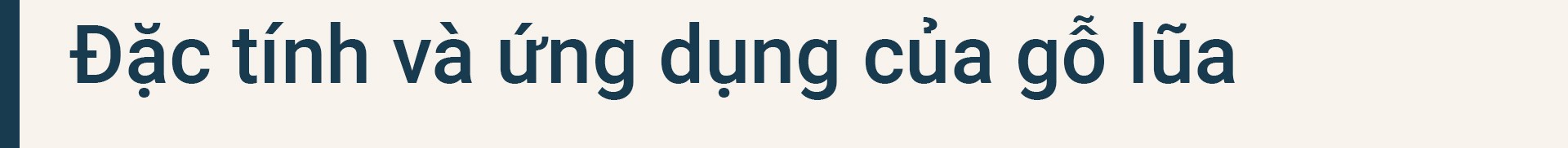 Gỗ lũa ngàn năm - Hành trình tái sinh văn hoá qua bàn tay nghệ nhân Việt