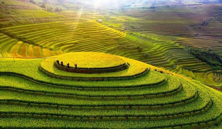 Lào Cai sáp nhập với Yên Bái: Tỉnh mới là “vùng vàng” du lịch, khách đến được ăn thịt trâu gác bếp, uống rượu táo mèo