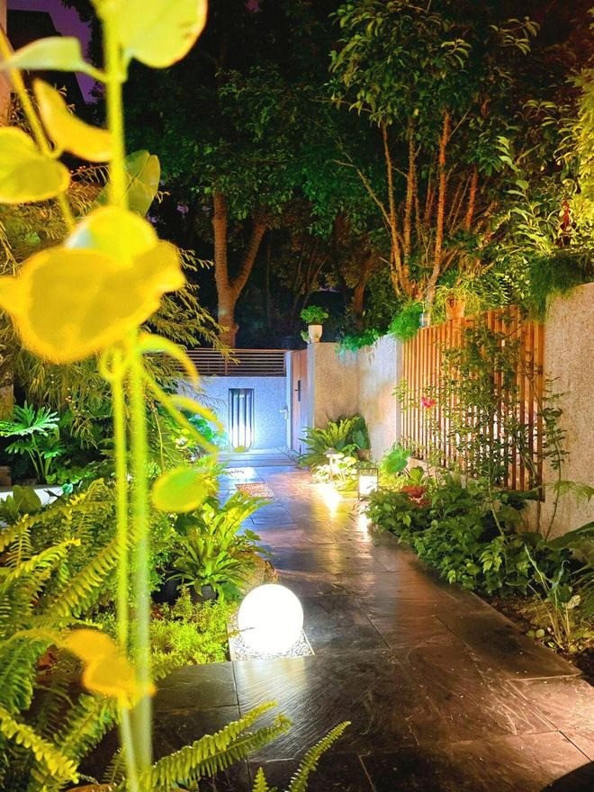 Lạc bước giữa khu vườn tầng trệt xanh mát như công viên