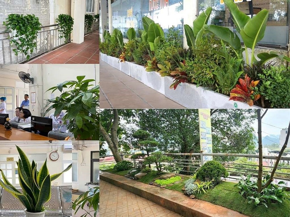 Xây dựng không gian xanh góp phần nâng cao sức khỏe, tinh thần cho bênh nhân và đội ngũ nhân viên y tế