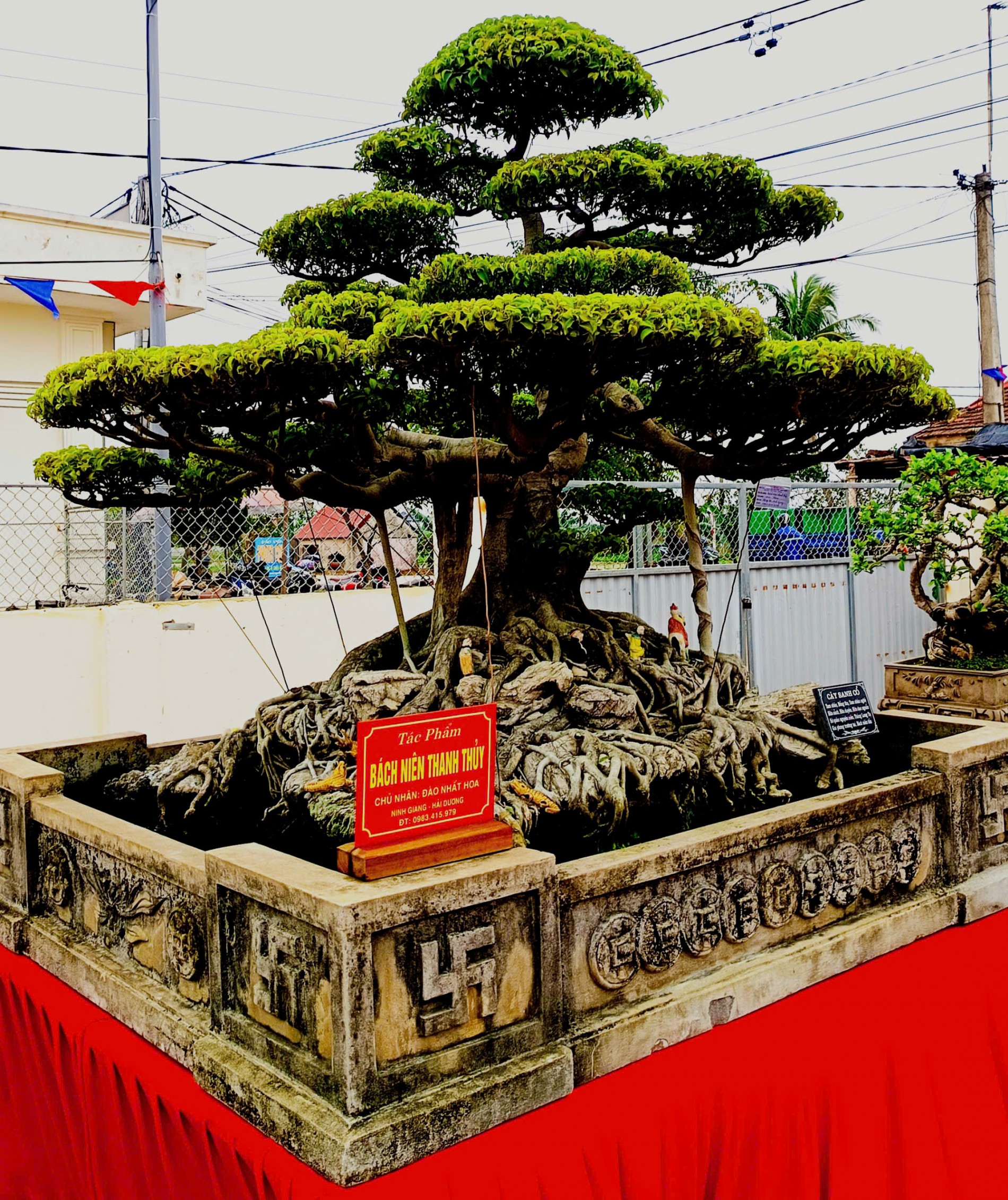 Tác phẩm Bách niên Thanh Thủy của Chủ nhân Đào Nhất Hoa, Ninh Giang, Hải Dương 