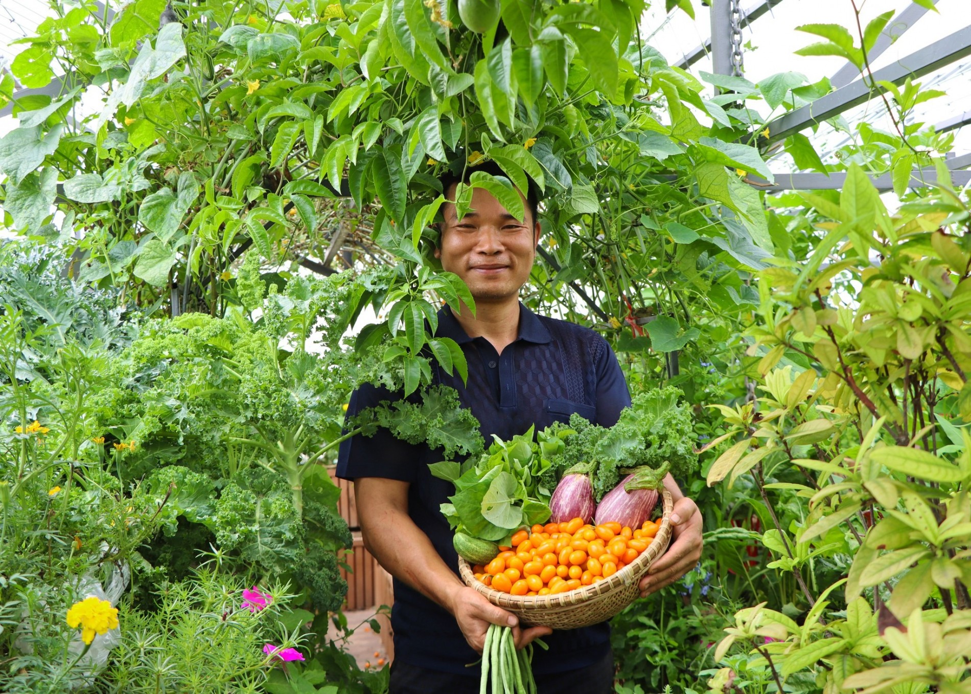 Giấc mơ nông trại giữa tầng cao: Kỹ sư Hà Nội xây hệ sinh thái sân thượng với cá, gà và rau sạch