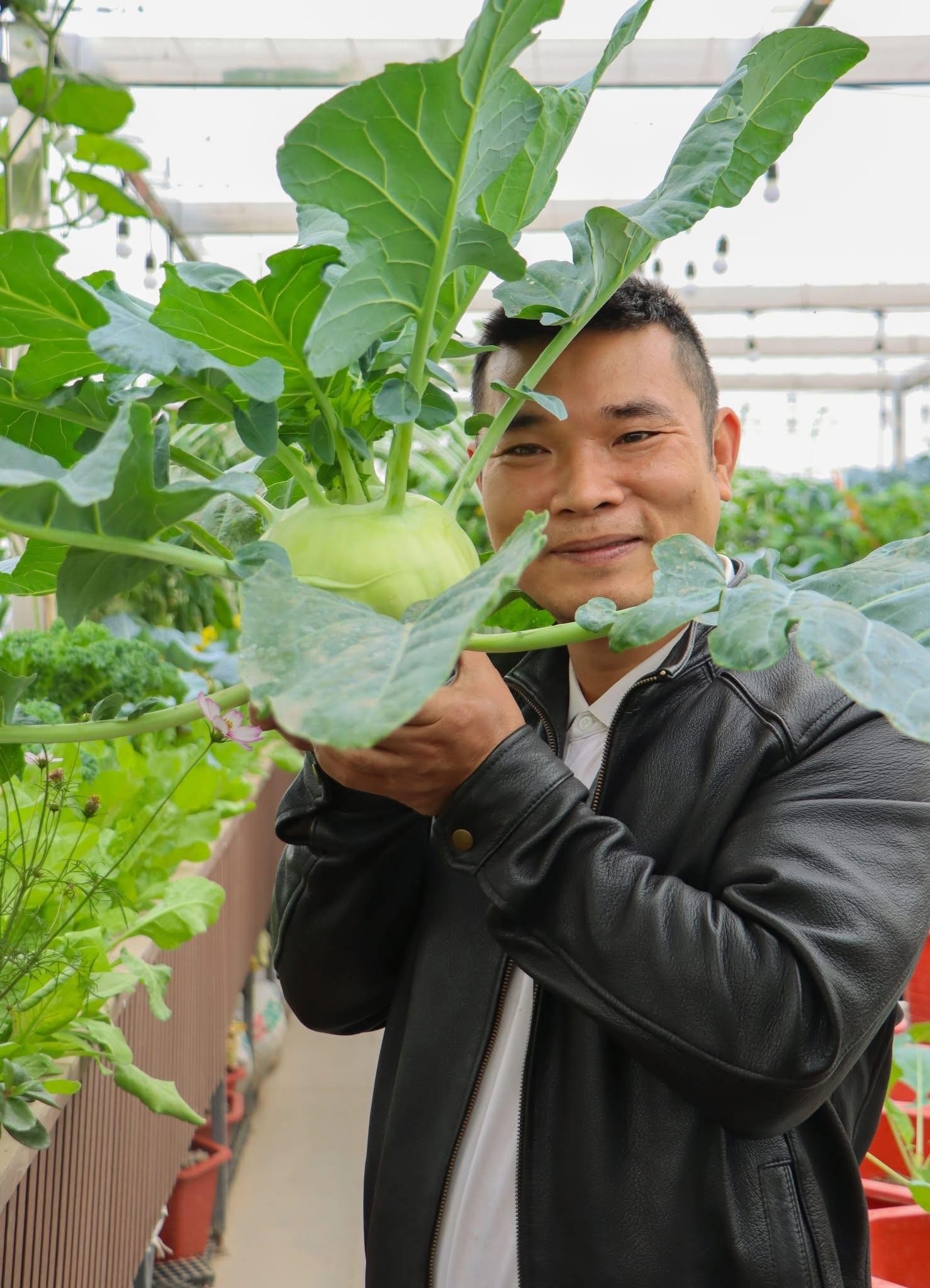 Giấc mơ nông trại giữa tầng cao: Kỹ sư Hà Nội xây hệ sinh thái sân thượng với cá, gà và rau sạch