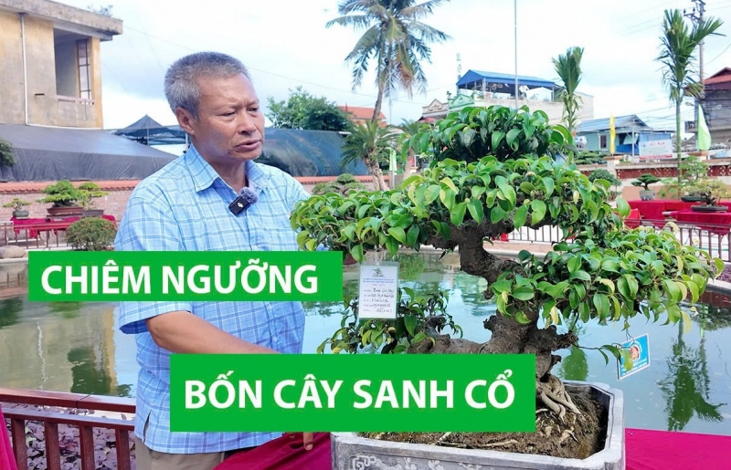 4 tác phẩm sanh cổ ấn tượng của nghệ nhân Phạm Văn Huế ở Nam Định