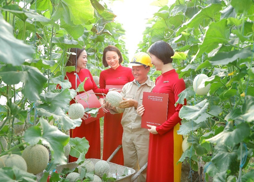 5 ngân hàng dẫn đầu trong hỗ trợ tín dụng xanh tại Việt Nam