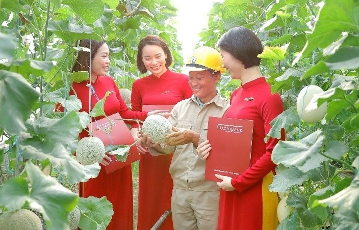 5 ngân hàng dẫn đầu trong hỗ trợ tín dụng xanh tại Việt Nam