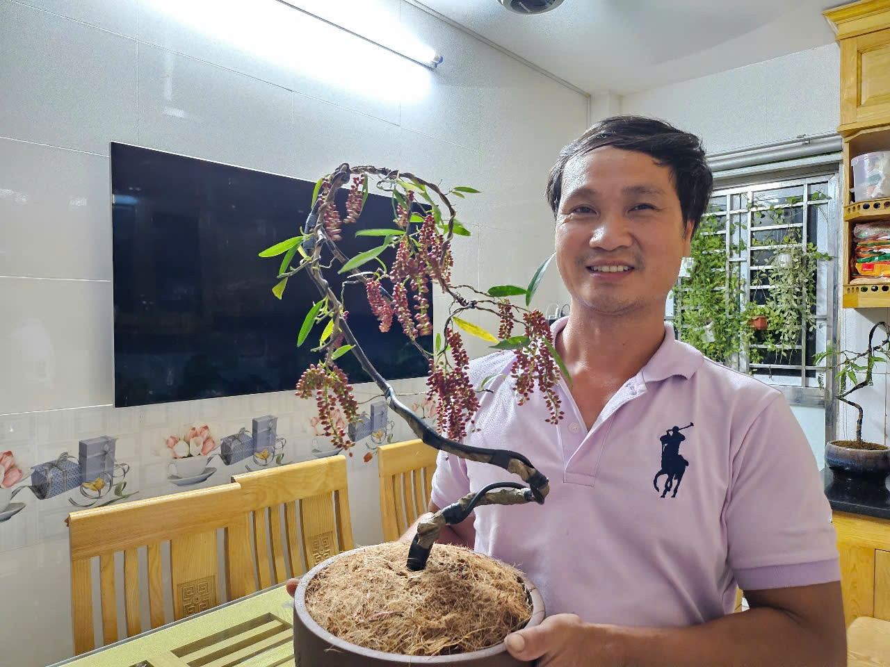 Thị trường bonsai mini tại Hà Nội: Sức hút từ những chậu cây nhỏ xinh