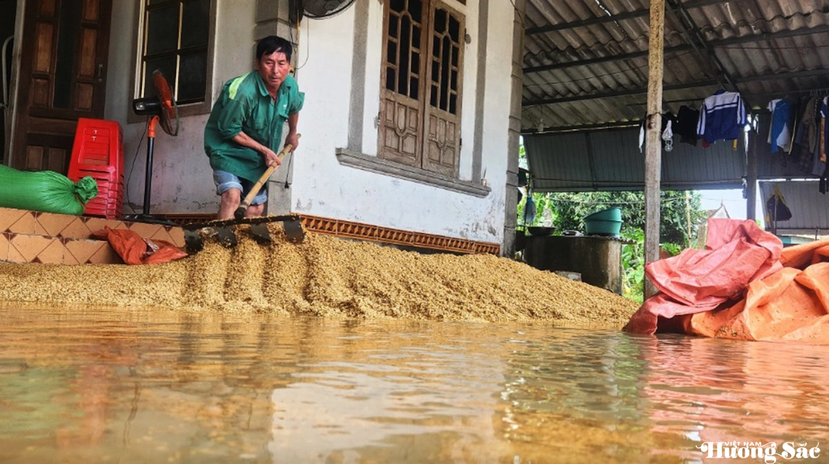 Lũ bất thường trái mùa, bà con nông dân thiệt hại nặng nề