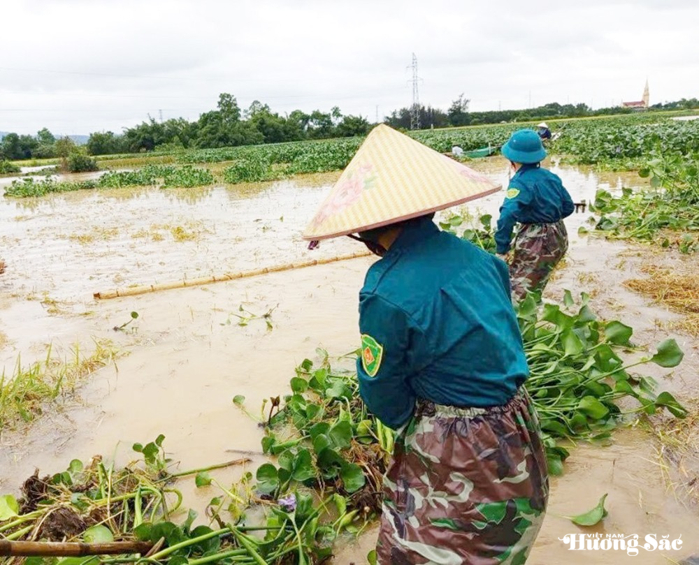Hà Tĩnh: Mưa lũ rút, khẩn trương khắc phục hậu quả thiên tai