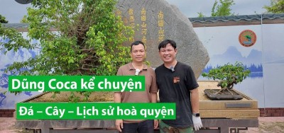 Thần thư kỳ cảnh: Tác phẩm lịch sử từ đá và cây của nghệ nhân Dũng Coca