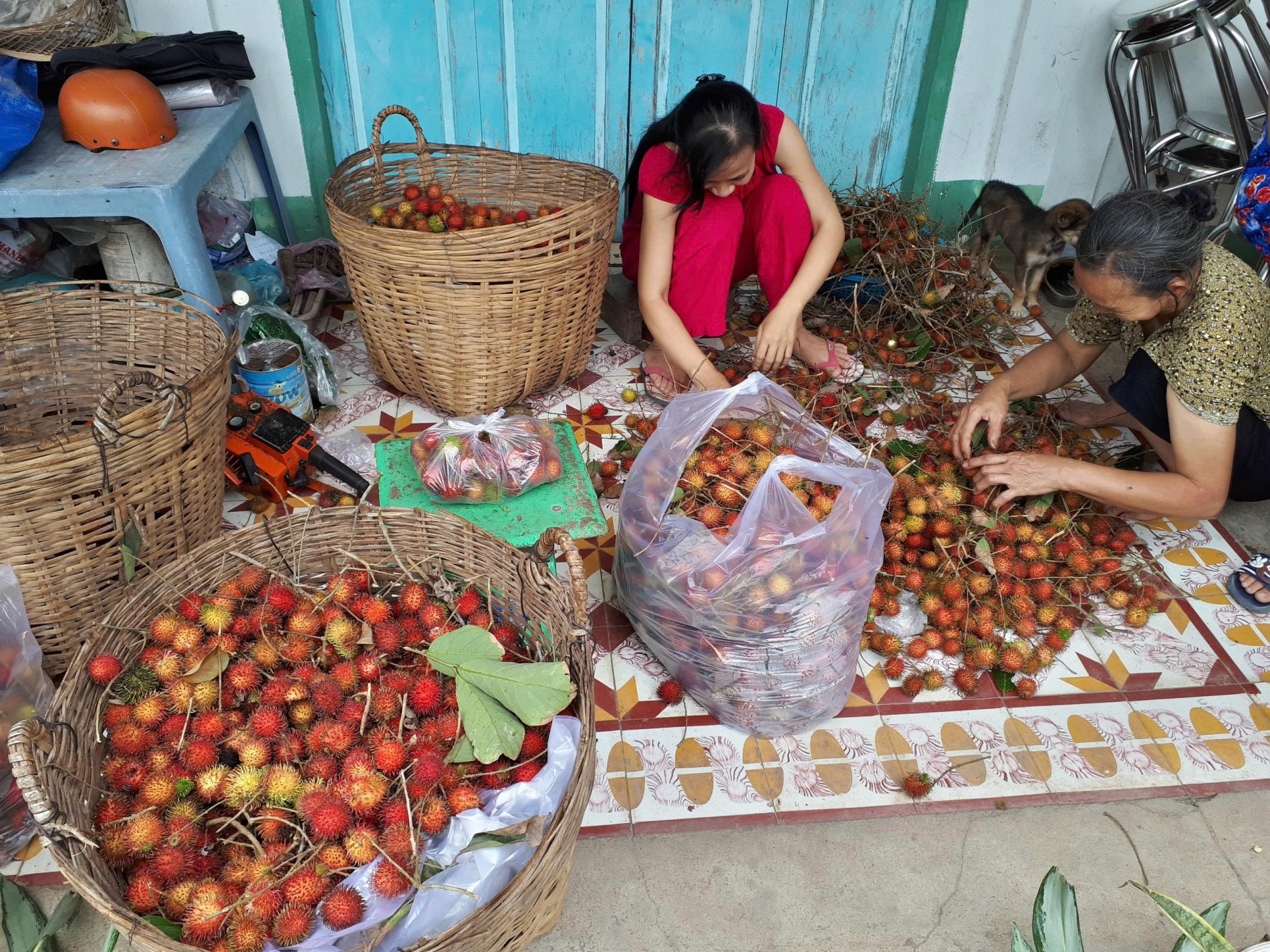 Tết Đoan Ngọ và ký ức tuổi thơ qua những món ăn quê hương Tết Đoan Ngọ và ký ức tuổi thơ qua những món ăn quê hương