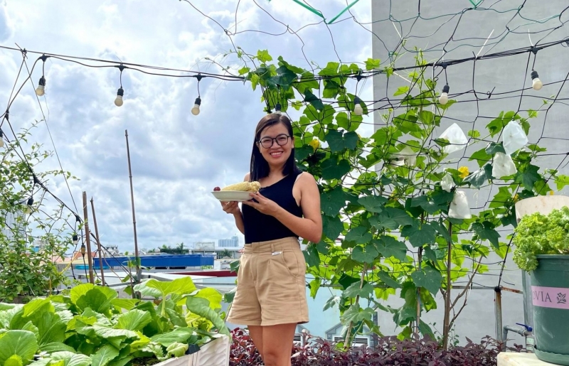 Nàng dâu Hải Phòng biến sân thượng thành vườn rau sạch xanh rì đáng mơ ước