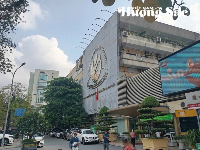 Bệnh viện Phụ sản Hà Nội: Đa dạng các tầng không gian xanh