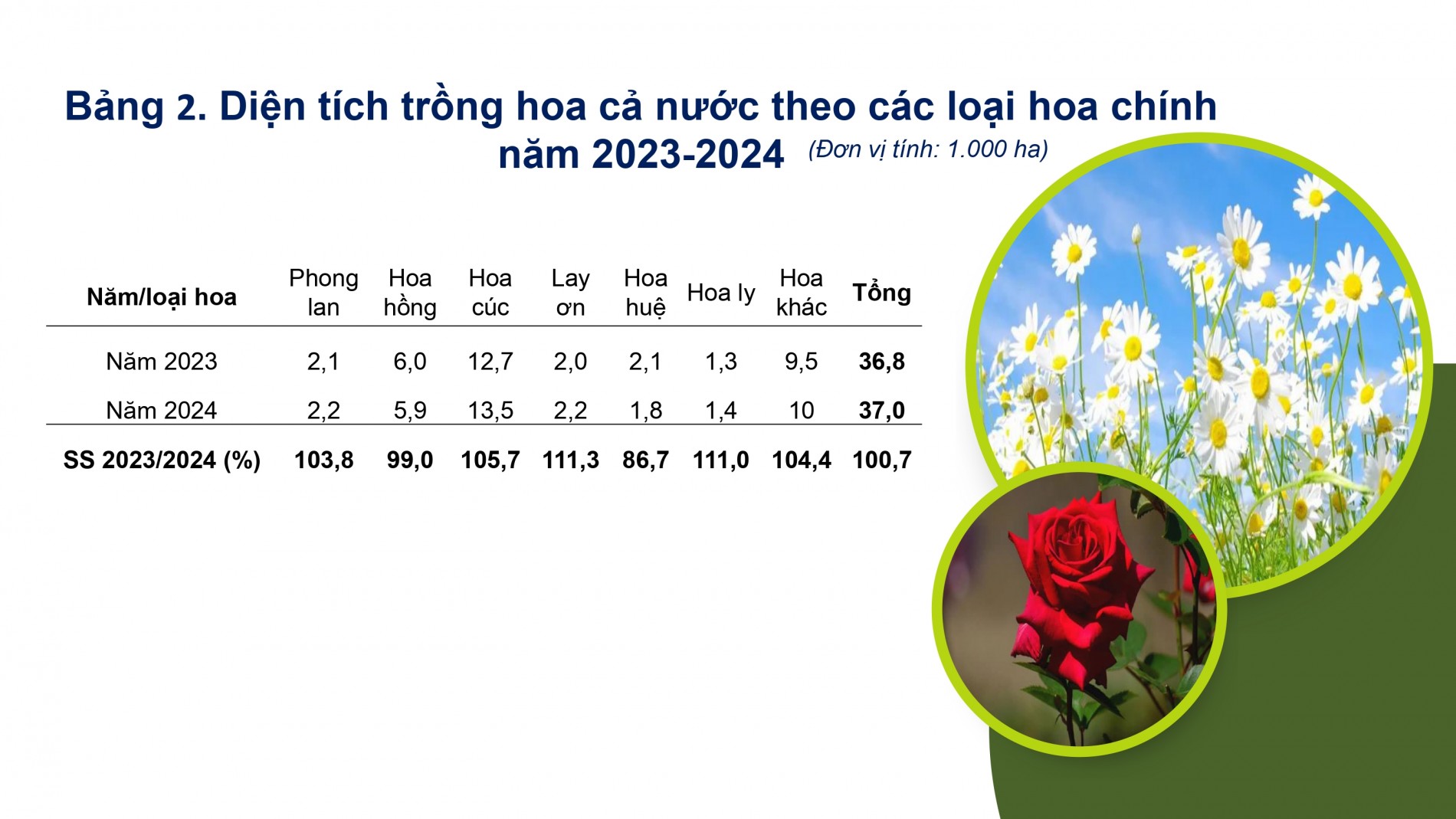 Phát triển ngành hoa, cây cảnh Việt Nam cần chính sách tín dụng, đất đai, nhân lực đồng bộ