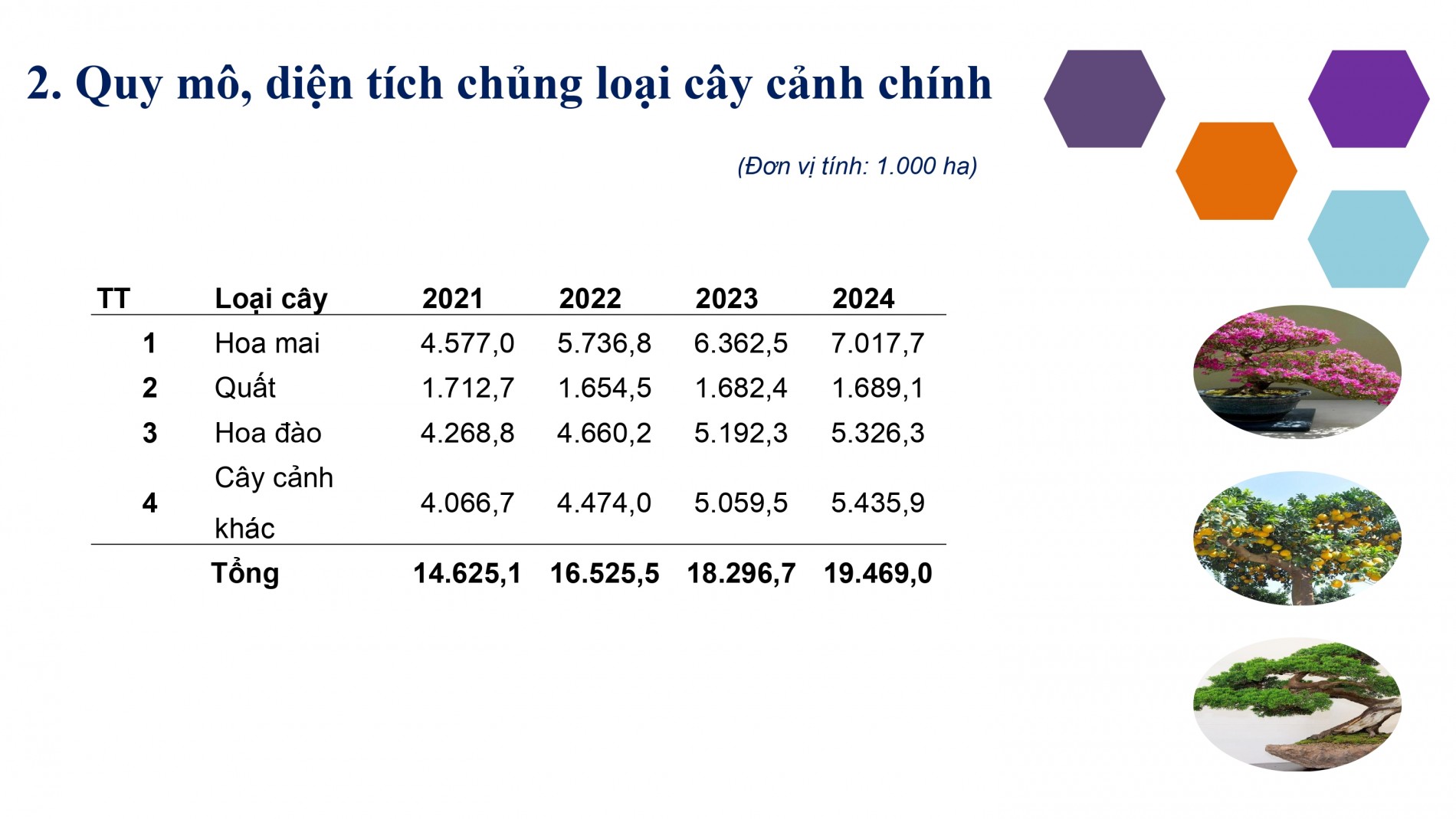 Phát triển ngành hoa, cây cảnh Việt Nam cần chính sách tín dụng, đất đai, nhân lực đồng bộ