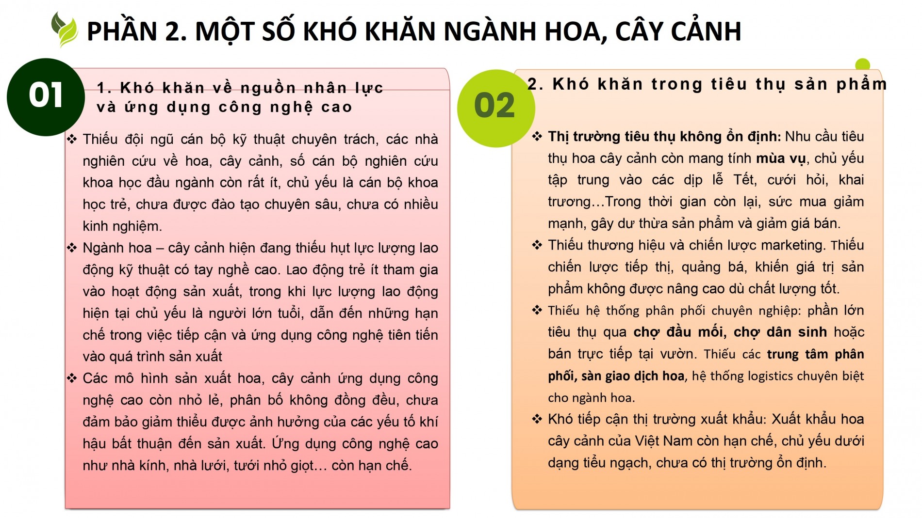 Phát triển ngành hoa, cây cảnh Việt Nam cần chính sách tín dụng, đất đai, nhân lực đồng bộ