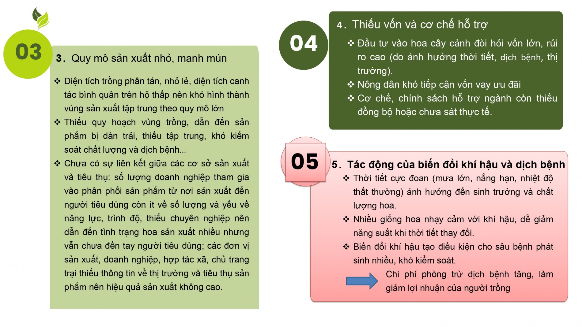 Phát triển ngành hoa, cây cảnh Việt Nam cần chính sách tín dụng, đất đai, nhân lực đồng bộ