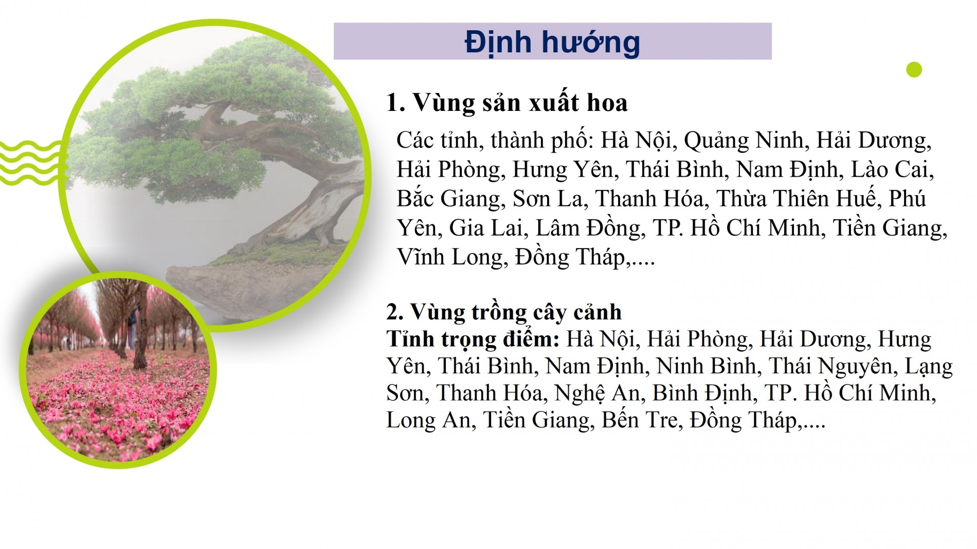 Phát triển ngành hoa, cây cảnh Việt Nam cần chính sách tín dụng, đất đai, nhân lực đồng bộ