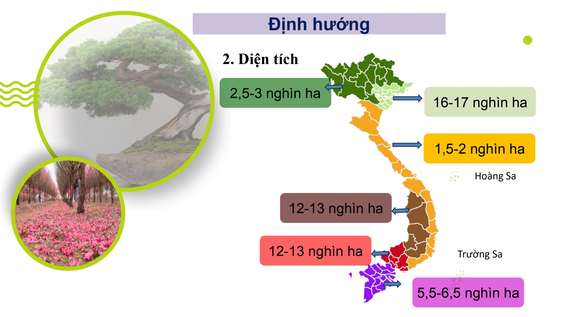 Phát triển ngành hoa, cây cảnh Việt Nam cần chính sách tín dụng, đất đai, nhân lực đồng bộ