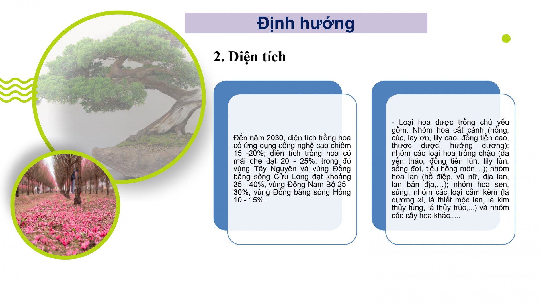 Phát triển ngành hoa, cây cảnh Việt Nam cần chính sách tín dụng, đất đai, nhân lực đồng bộ
