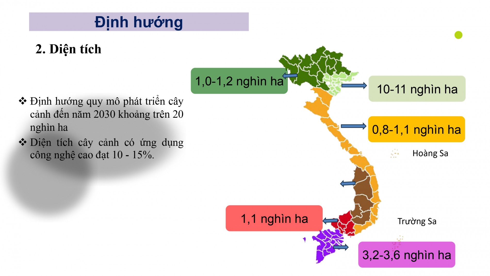 Phát triển ngành hoa, cây cảnh Việt Nam cần chính sách tín dụng, đất đai, nhân lực đồng bộ