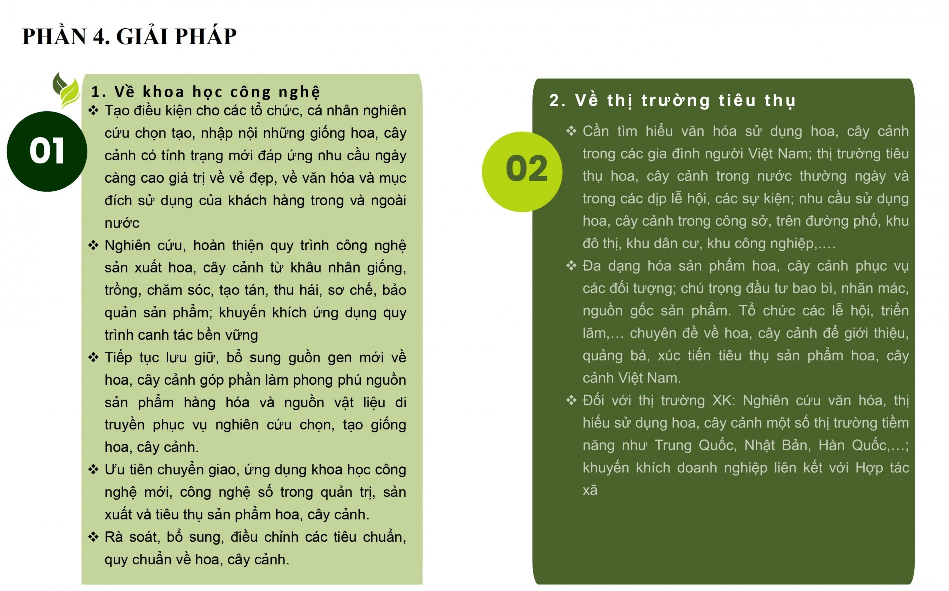 Phát triển ngành hoa, cây cảnh Việt Nam cần chính sách tín dụng, đất đai, nhân lực đồng bộ