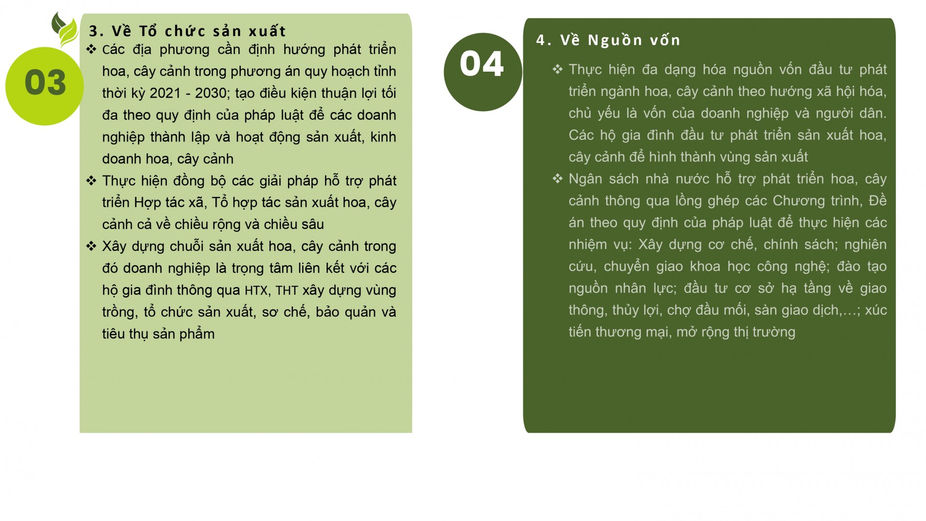 Phát triển ngành hoa, cây cảnh Việt Nam cần chính sách tín dụng, đất đai, nhân lực đồng bộ