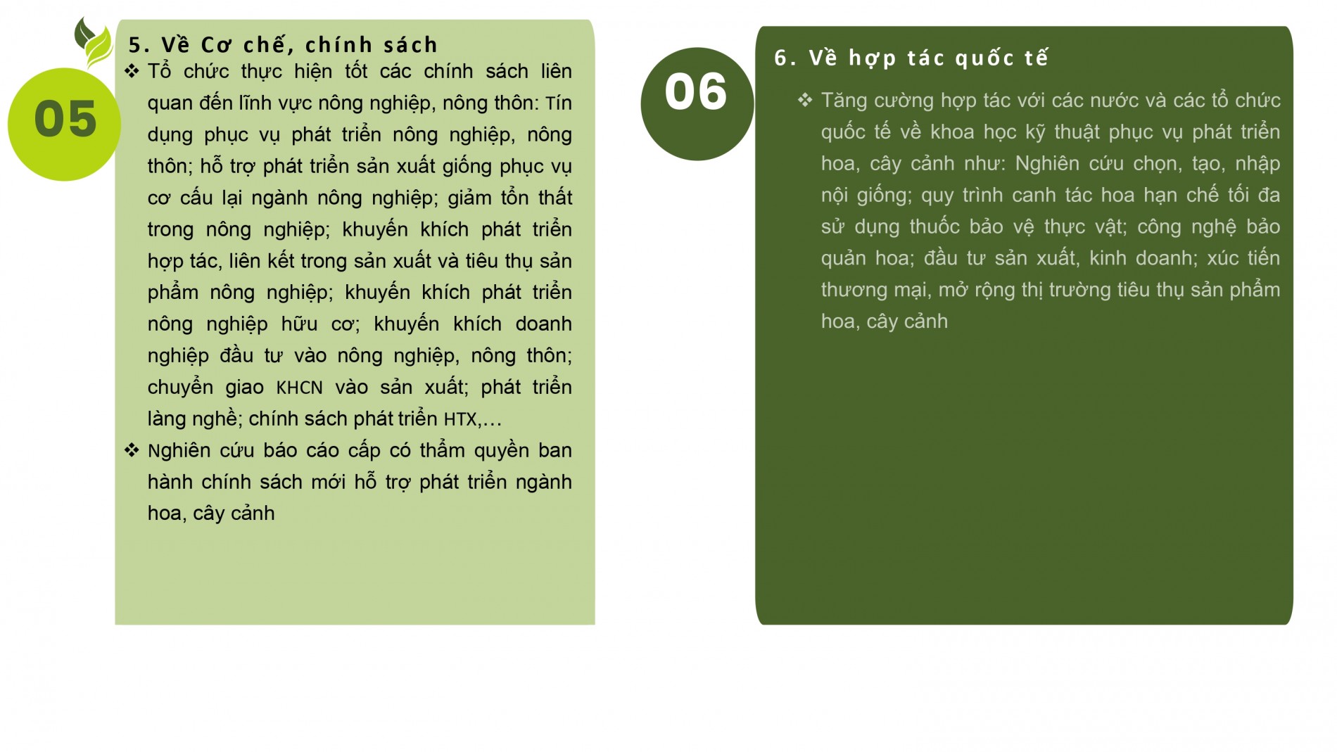 Phát triển ngành hoa, cây cảnh Việt Nam cần chính sách tín dụng, đất đai, nhân lực đồng bộ