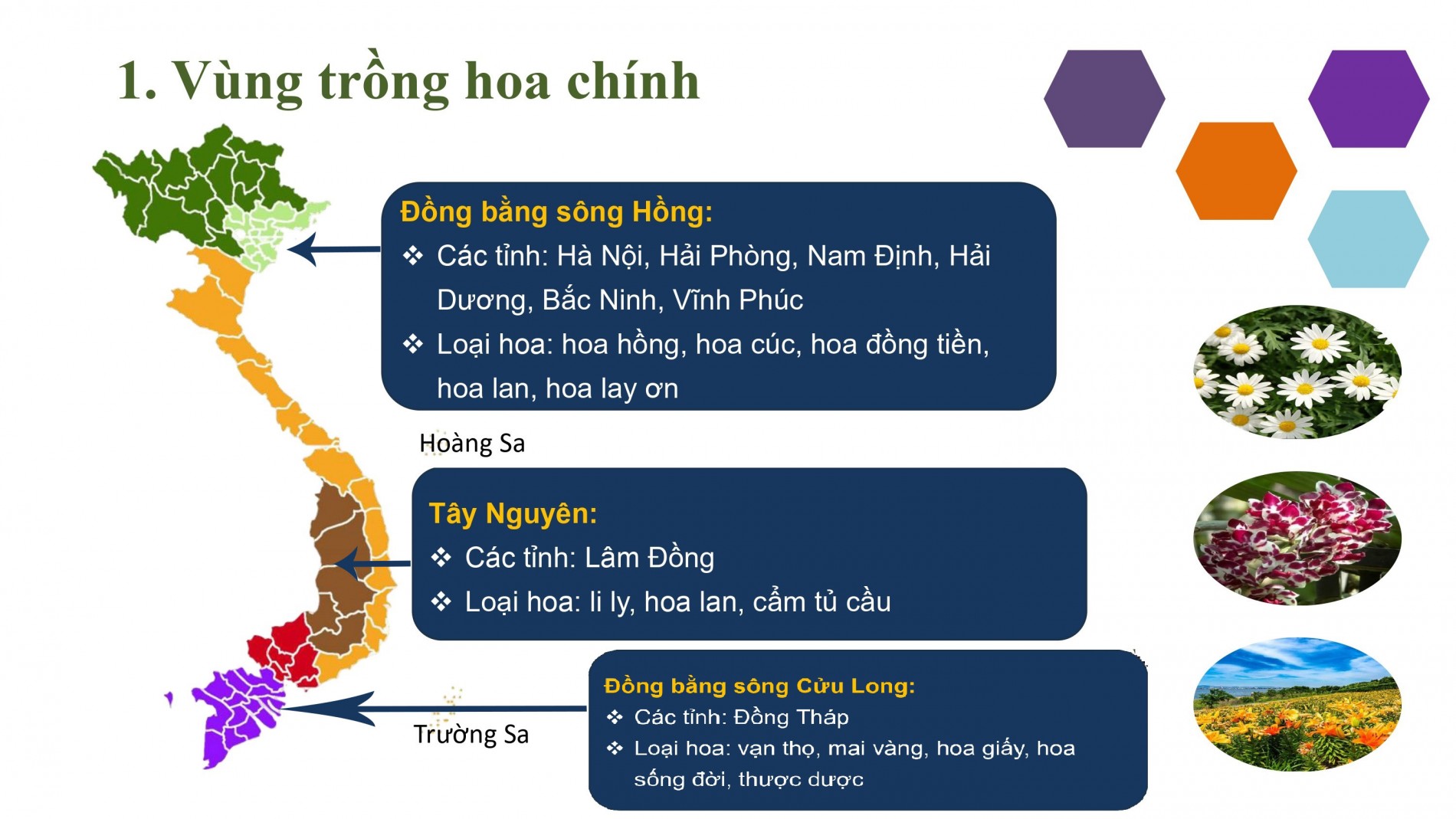 Phát triển ngành hoa, cây cảnh Việt Nam cần chính sách tín dụng, đất đai, nhân lực đồng bộ