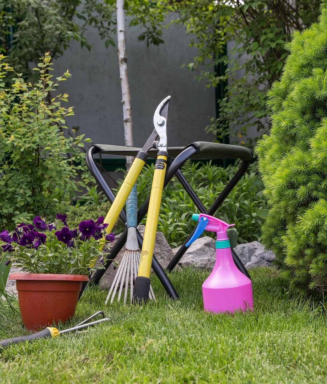 Trồng cây chuỗi ngọc cần chuẩn bị đầy đủ dụng cụ