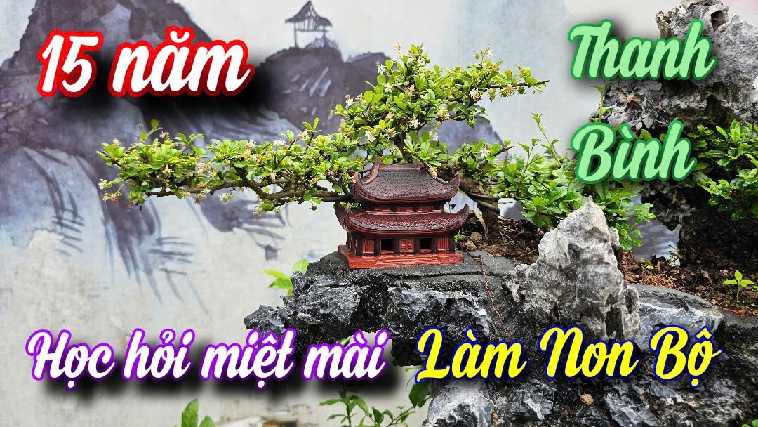 Gặp gỡ nghệ nhân 8X - Người thổi hồn sống động vào từng hòn non bộ