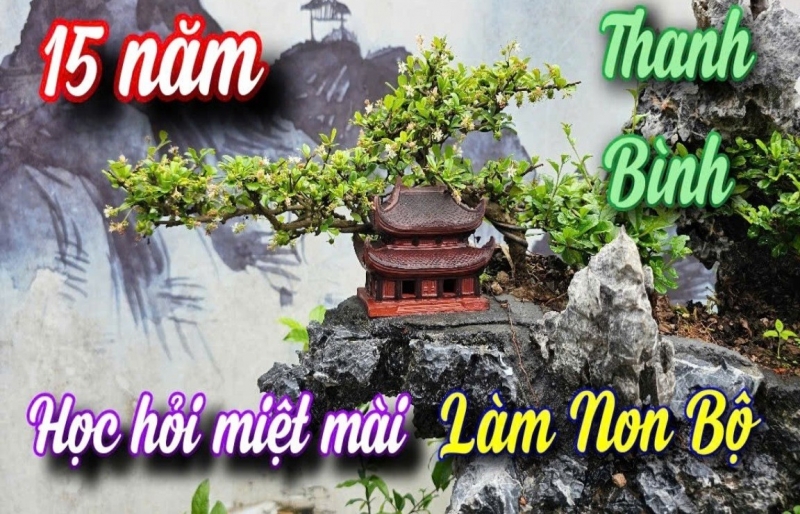 Gặp gỡ nghệ nhân 8X - Người thổi hồn sống động vào từng hòn non bộ