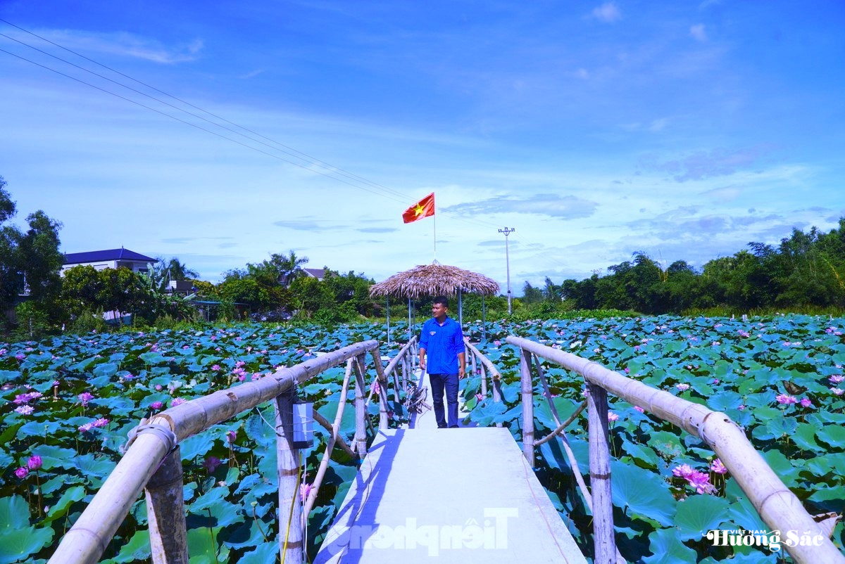 Phát triển mô hình nông nghiệp hữu cơ gắn với du lịch sinh thái giữa lòng thành phố Hà Tĩnh
