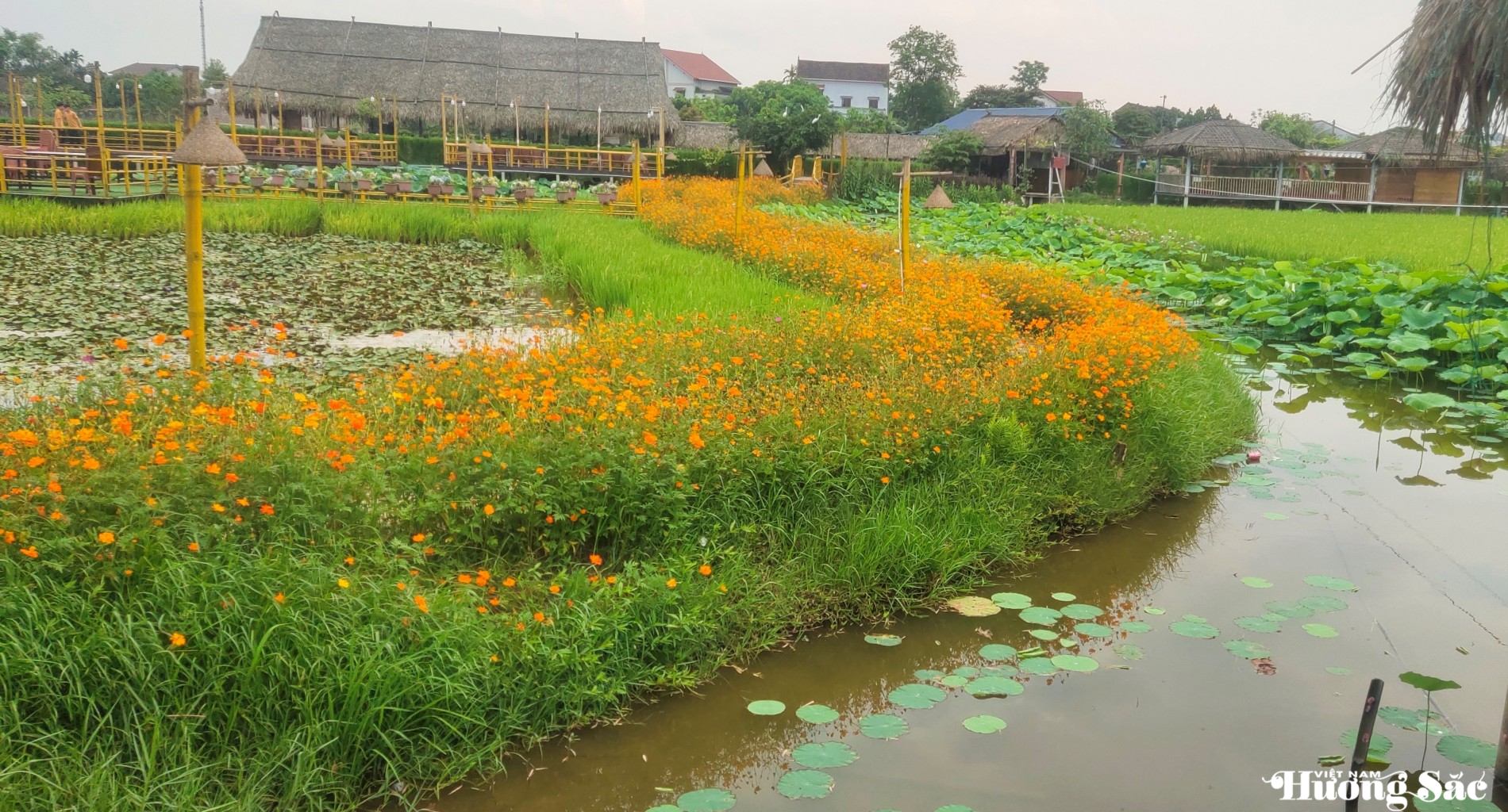 Phát triển mô hình nông nghiệp hữu cơ gắn với du lịch sinh thái giữa lòng thành phố Hà Tĩnh