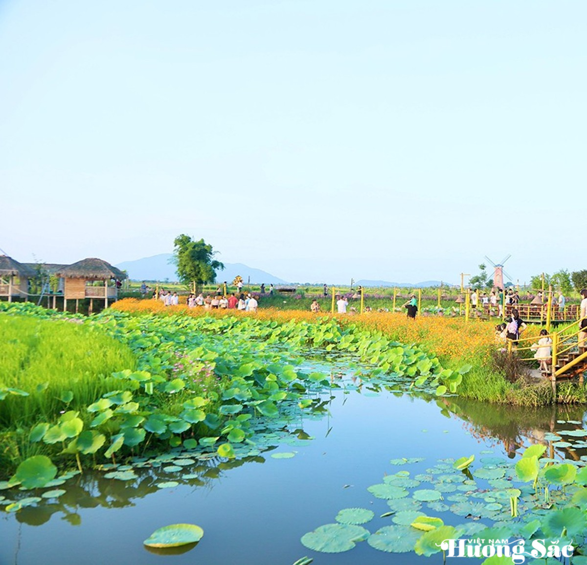 Phát triển mô hình nông nghiệp hữu cơ gắn với du lịch sinh thái giữa lòng thành phố Hà Tĩnh