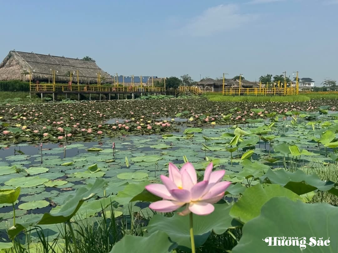 Phát triển mô hình nông nghiệp hữu cơ gắn với du lịch sinh thái giữa lòng thành phố Hà Tĩnh