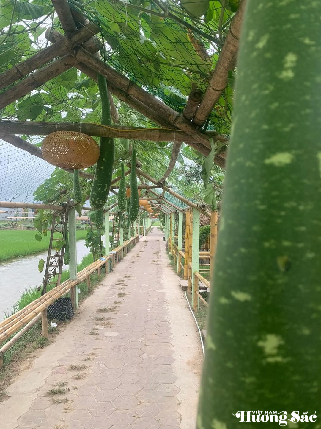 Phát triển mô hình nông nghiệp hữu cơ gắn với du lịch sinh thái giữa lòng thành phố Hà Tĩnh
