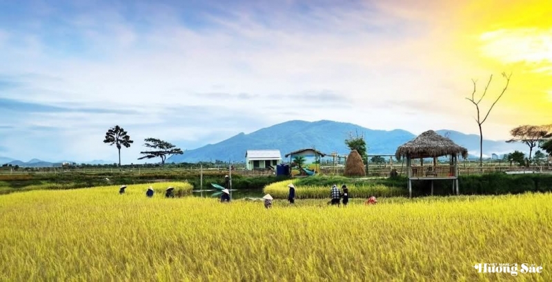 Phát triển mô hình nông nghiệp hữu cơ gắn với du lịch sinh thái giữa lòng thành phố Hà Tĩnh
