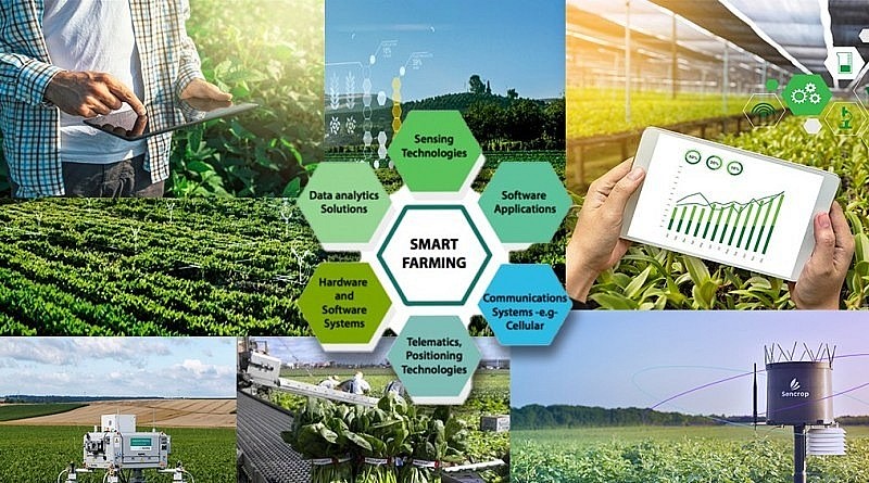 Từ hạt đất đến tương lai xanh: Việt Nam tiên phong xây dựng nông nghiệp bền vững