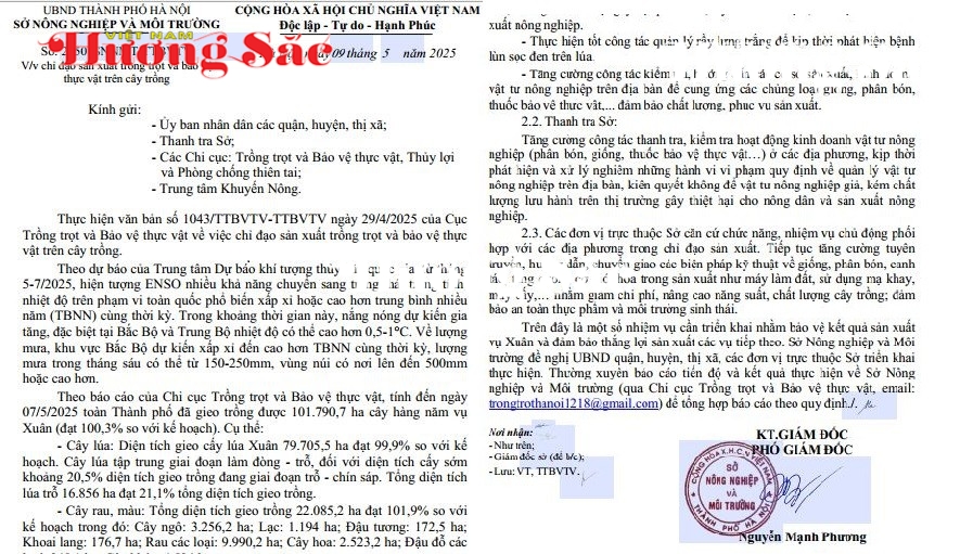 TP. Hà Nội: Tập trung chỉ đạo sản xuất trồng trọt và bảo vệ thực vật trên cây trồng