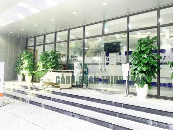 Cảnh quan Trịnh Thập: Giải pháp không gian xanh chuyên nghiệp với ưu đãi 10% hấp dẫn Cảnh quan Trịnh Thập: Giải pháp không gian xanh chuyên nghiệp với ưu đãi 10% hấp dẫn