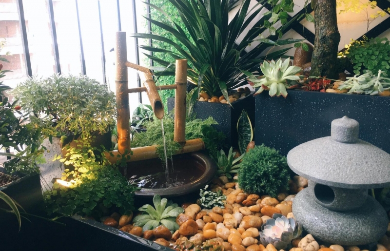 Không gian hẹp vẫn có vườn – Gợi ý bố trí sinh vật cảnh trong nhà phố thông minh