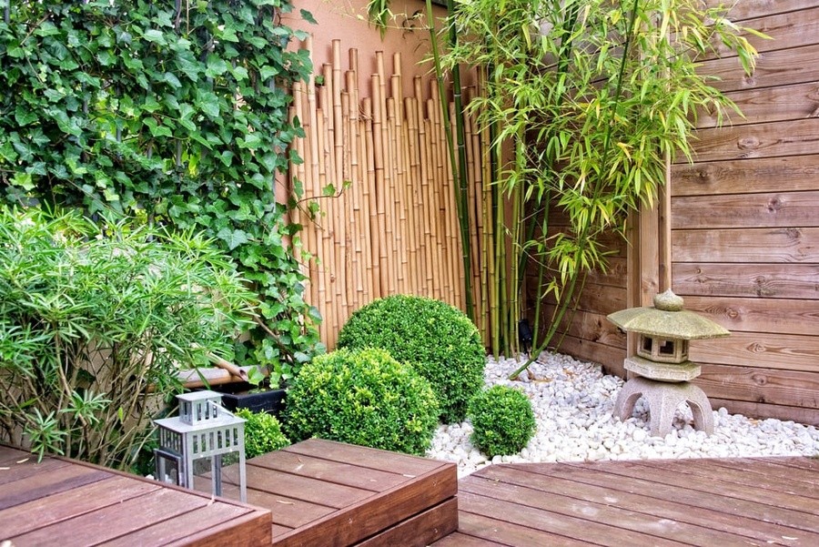 Không gian hẹp vẫn có vườn – Gợi ý bố trí sinh vật cảnh trong nhà phố thông minh